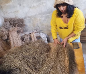 Milagros bråker lin på beredningstasjonen på Raufoss